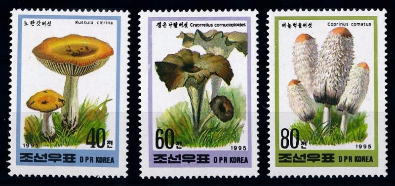 [68666] Korea 1995 Mushrooms Pilze Champignons  MNH