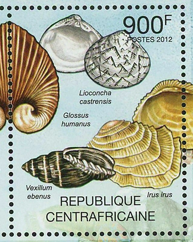 Shells Stamp Glossus Humanus Pharus Legumen Cittarium Pica S/S MNH #3647-3650 