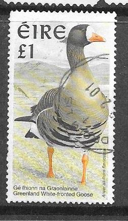 Ireland #1040 L1 Birds   (U) CV$5.00