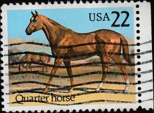 # 2155 USED QUARTER HORSE