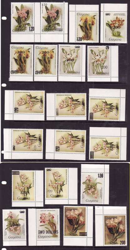 Guyana-Sc#1511-30 - id9-unused NH set-Flowers-Orchids-1987-9-