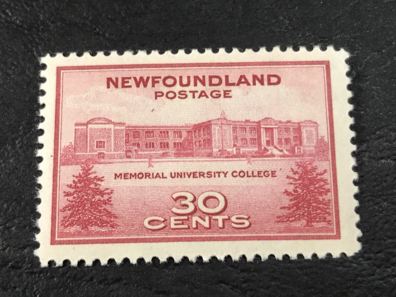 NEW FOUNDLAND # 267-MINT NEVER/HINGED--------1943