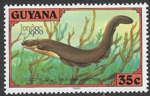 GUYANA 1980 35c ELECTRIC EEL Fish Pictorial London 80 Sc 317c MNH