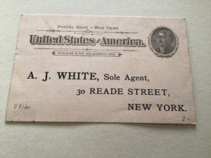 U. S. Donkey Puzzel books A. J. White 1894 postal card 67124