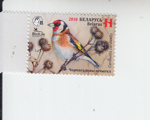 2018 Belarus Bird of the Year Goldfinch (Scott 1085) MNH