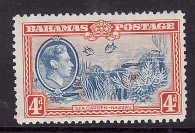 Bahamas-Sc#106- id7-unused hinged 4p red org & blue-KGVI-Sea Gardens-1938-46-