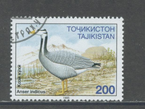 Tajikistan 89  FVF  Used