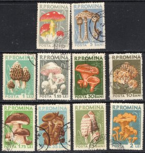 Thematic stamps ROMANIA 1958 FUNGI 2583/92 used