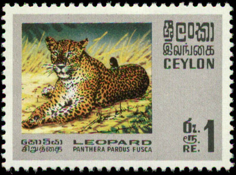 Ceylon Scott #439 - #442 SG #561 - #569 Mint Never Hinged 