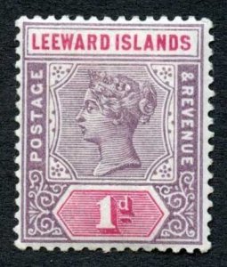 Leeward Is SG2 1d Small last S M/M