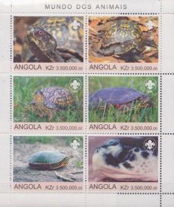 ANGOLA SHEET TURTLES REPTILS