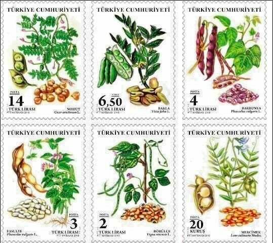 TURKEY / 2018 -  PULSES THEME DEFINITIVE STAMPS MNH, Mi: 4400/4405 