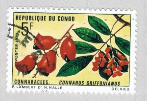 Congo PR 225 Used Flowers 1 1970 (BP62911)