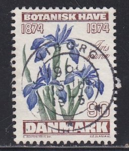Denmark # 560, Flowers  - Iris, Used,