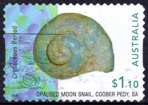 AUSTRALIA….2020 Opalised Fossils 