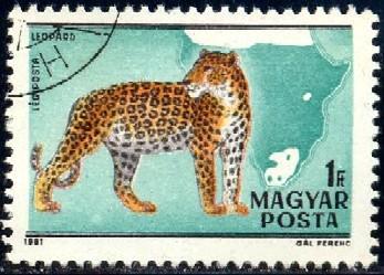 Wildcat, Leopard, Hungary SC#C427c used