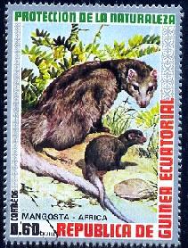 Mongoose, Guinea Ecuatorial stamp used