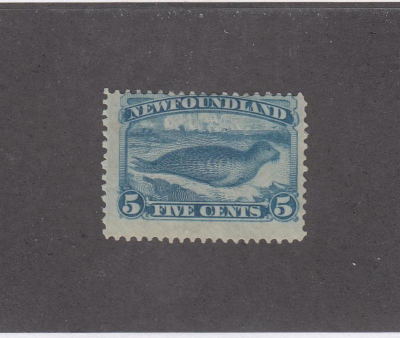 NEWFOUNDLAND LOT 2233 # 53 FVF-MH 5cts PALE BLUE HARP SEAL CAT VALUE $200