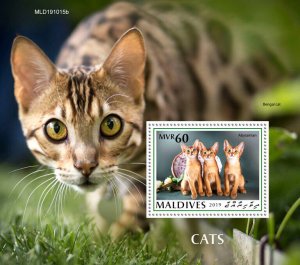 Maldives 2019 MNH Cats Stamps Abyssinian Bengal Cat Domestic Animals 1v S/S