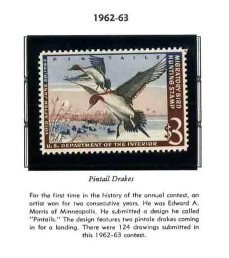 RW29 PINTAIL DRAKES FEDERAL DUCK STAMP MINT & NEVER HINGED
