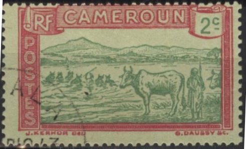 Cameroun 171 (used) 2c herder & cattle, rose & grn on grnish paper (1925)