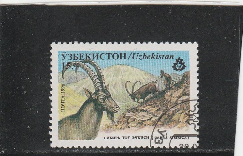 Uzbekistan  Scott#  107  CTO  (1996 Siberian Ibex)