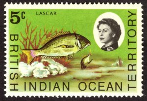 1968, British Indian Ocean Territory 5c, MNH, Sc 16