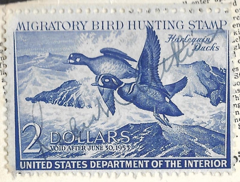 Doyle's_Stamps: Signed, Used #RW19 Federal Duck Stamp of 1952 on License