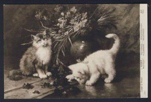 Cat kittens MISTRUST - Salon Leon Huber - #2291? - RPPC FRANCE postcard