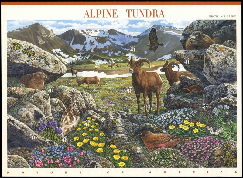 US Sc 4198 VF/MNH Complete Pane of 10 - 2007 41¢ Alpine Tundra - P.O. Fresh
