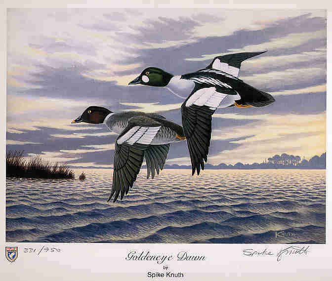 VIRGINIA #17 2004 STATE DUCK STAMP PRINT GOLDENEYE Spike Knuth List $155