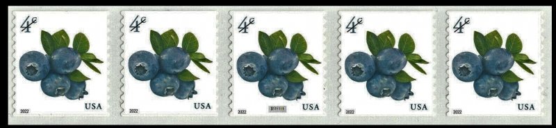 #5653 2022 Blueberries PNC5 Pl #B11111 - MNH