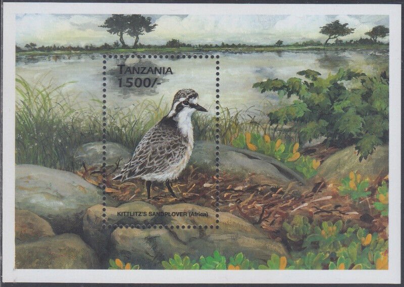 TANZANIA Sc # 1797 MNH S/S - BIRDS, KITLIZZ SANDPLOVER