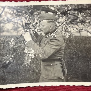 WW2 WWII Original German Military wartime Photo Soldier Smelling Flowers