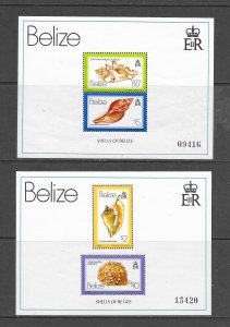 SHELLS - BELIZE #488-89 MNH S/S