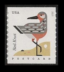 US 4997 Coastal Birds Red Knot postcard rate coil single MNH 2015