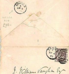 GB Wales EARLY RSO MAIL 1893 Cover *ERWOOD* Railway Sub-Office Radnors CR144 