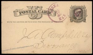 USA 1878 LEONA Kansas Violet CDS Postal Card Cover 96275