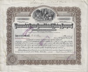 1913 - Tamarack & Custer Mining Stock, Idaho - Ephemera 1187