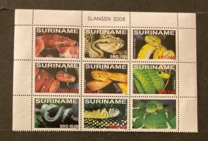 Surinam Scott #1372 never hinged