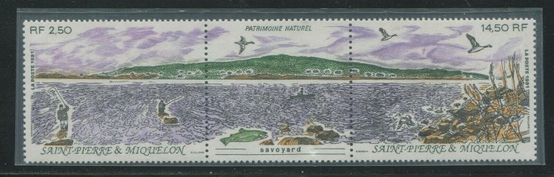 Saint-Pierre & Miquelon 1991 Sc 573a Birds Fishing Shore CV $8.50