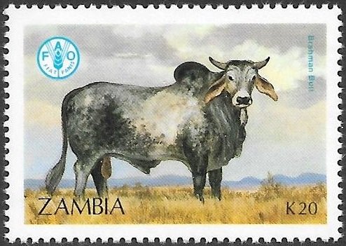 Zambia 1987 Cattle Scott # 421 Mint NH. Free Shipping for All Additional Items.