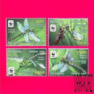 BELARUS 2010 Nature Fauna Insects Dragonfly Green Snaketail WWF 4v Sc737-740 MNH