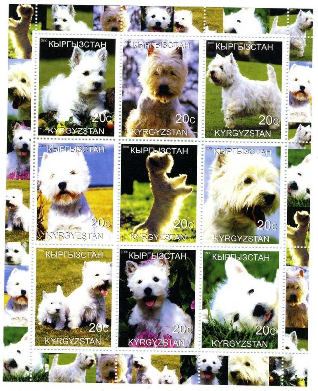 Kyrgyzstan 2000 DOG West Highland Terrier Sheet Perforated Mint (NH)