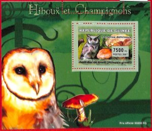 A0680  - GUINEE Guinea - ERROR  MISSPERF SHEET -    BIRDS Owls MUSHROOMS 2007