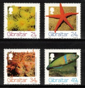 GIBRALTAR 1994 Marine Life; Scott 662-65; MNH