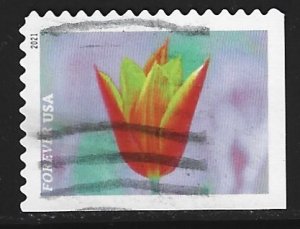 USA #5559   used