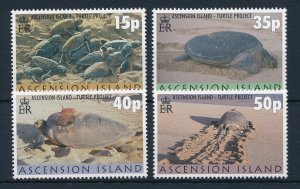 [31451] Ascension 2000 Marine life Reptiles turtle project  MNH