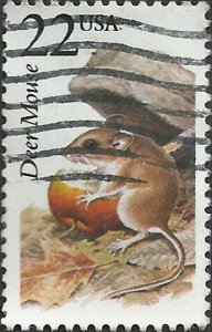 # 2324 USED DEER MOUSE