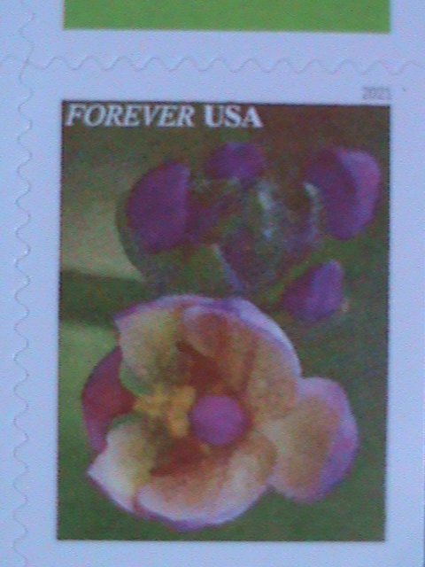 ​UNITED STATES- GARDEN BEAUTY-LOVELY FLOWERS-FOREVER MNH BOOKLET VERY FINE